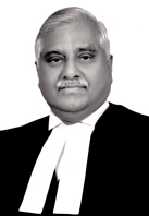 Hon'ble Mr. Justice V. Gopala gowda 